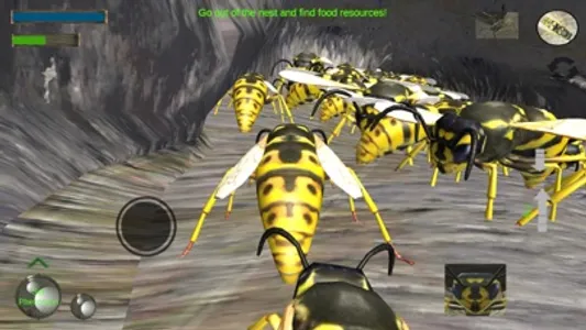 Wasp Nest Simulation Full screenshot 0