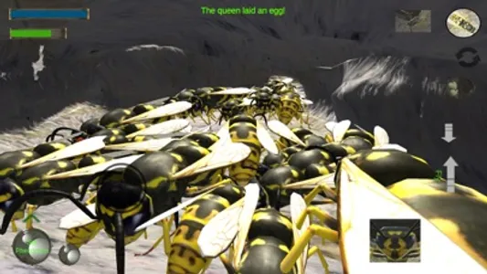 Wasp Nest Simulation Full screenshot 3