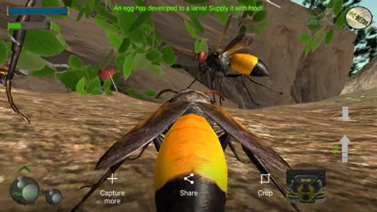 Wasp Nest Simulation Full screenshot 4