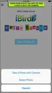 iBird Photo Sleuth screenshot 2