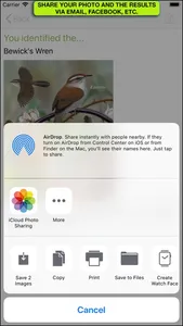 iBird Photo Sleuth screenshot 8