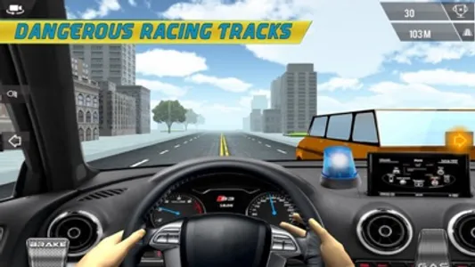 Crazy Driver Police Racing screenshot 2