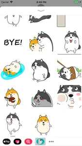 Fat Dog Animated Stickers screenshot 1