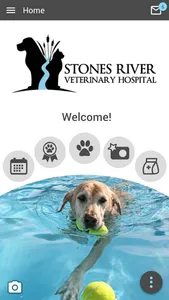 Stones River Vet screenshot 0