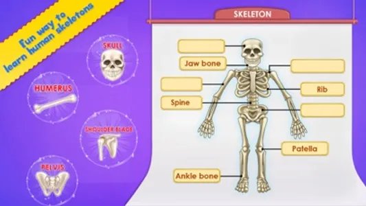 Human Body Parts Play to Learn screenshot 1