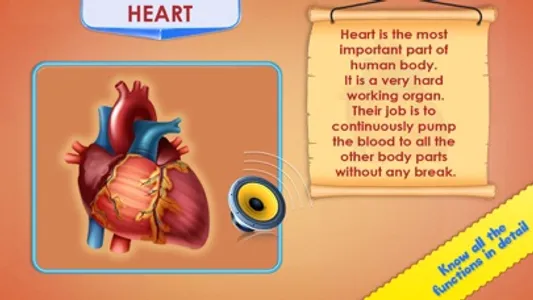 Human Body Parts Play to Learn screenshot 2