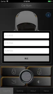 CROWN screenshot 1