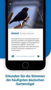 40Gartenvögel screenshot 1