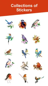 Water Color Birds screenshot 4