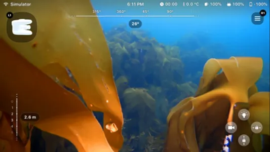 Blueye screenshot 1