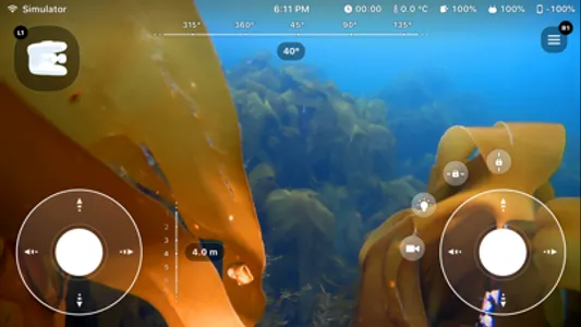 Blueye screenshot 2