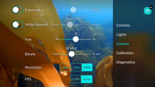 Blueye screenshot 3