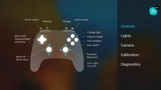 Blueye screenshot 4