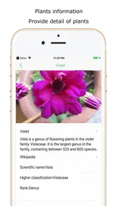 iplant - Plant Identification screenshot 1
