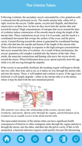 The Female Reproductive System screenshot 5