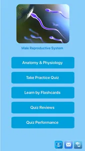 Male Reproductive System screenshot 0