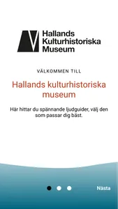 Museumhalland screenshot 0