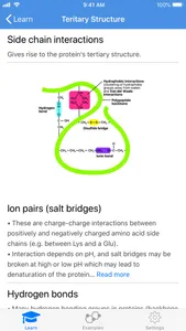 Protein Guide screenshot 5