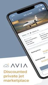 Fly AVIA screenshot 0