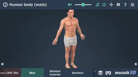 Human body (male) 3D screenshot 0