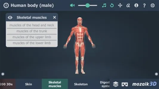 Human body (male) 3D screenshot 1