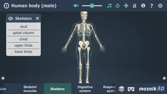 Human body (male) 3D screenshot 2