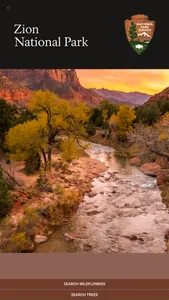 Zion Park Wildflowers screenshot 0