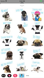 Pug Life screenshot 0