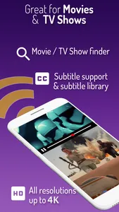 Cast Web Videos to Roku TV screenshot 1