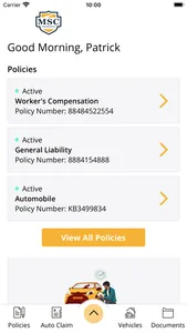MSC Insurance Agency Online screenshot 1