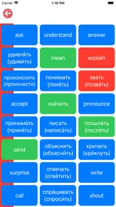 Russian Verb Blitz screenshot 4