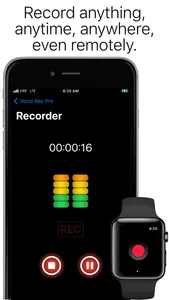 Voice Recorder Professional screenshot 0