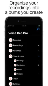 Voice Recorder Professional screenshot 2