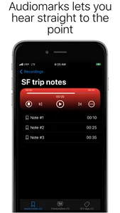 Voice Recorder Professional screenshot 6