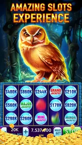 Slots: Vegas Casino Slot Games screenshot 3