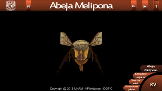 Abejas mayas screenshot 1