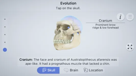 Brainapse screenshot 0