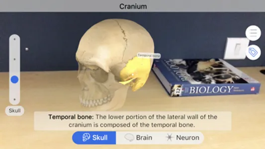 Brainapse screenshot 1