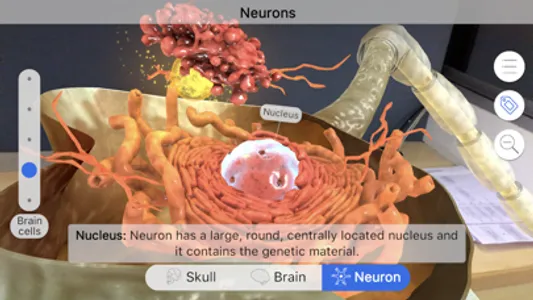 Brainapse screenshot 4