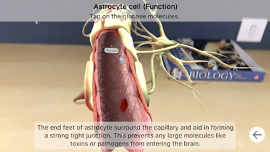 Brainapse screenshot 5