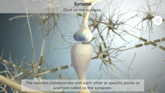 Brainapse screenshot 6