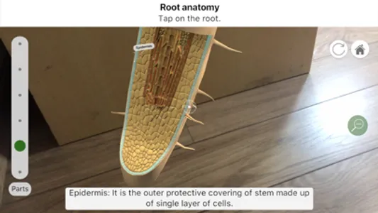 Plantale screenshot 1