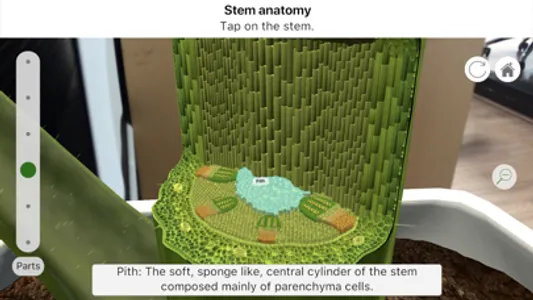 Plantale screenshot 2