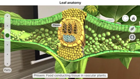 Plantale screenshot 3