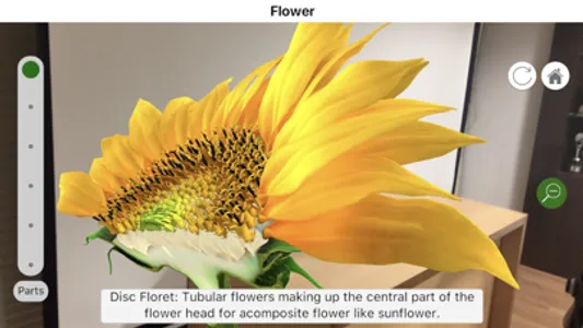 Plantale screenshot 4