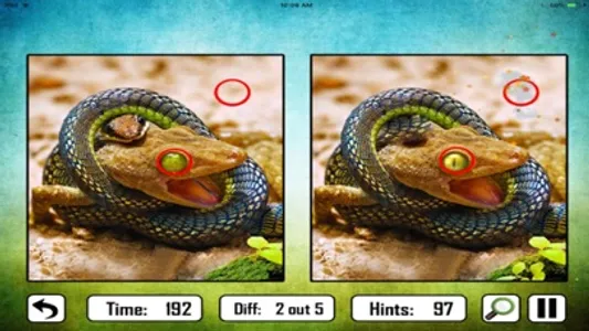 Animal Find The Difference screenshot 1