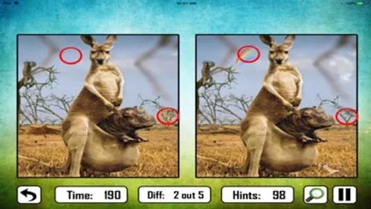 Animal Find The Difference screenshot 3