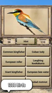 Animal Kingdom - Quiz Game screenshot 2