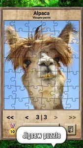 Animal Kingdom - Quiz Game screenshot 7