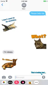 A fun cat message sticker screenshot 0